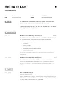 Tandartsassistente CV Voorbeeld (10)