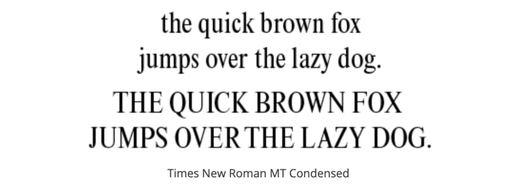 Times New Roman cv lettertype voorbeeld